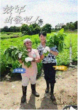 一起造房子 综艺海报 88影视大全